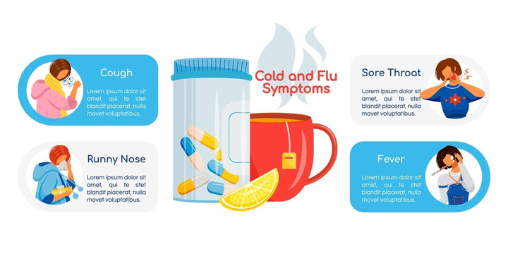 Infographics bundle