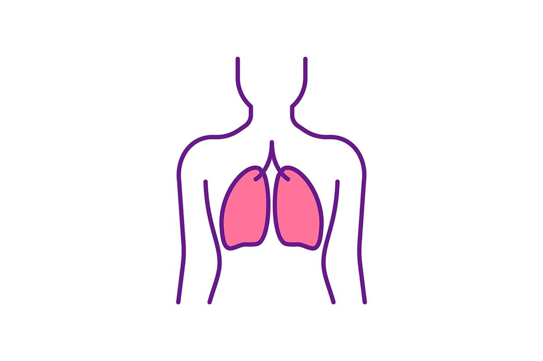 Lungs health care RGB color icons set
