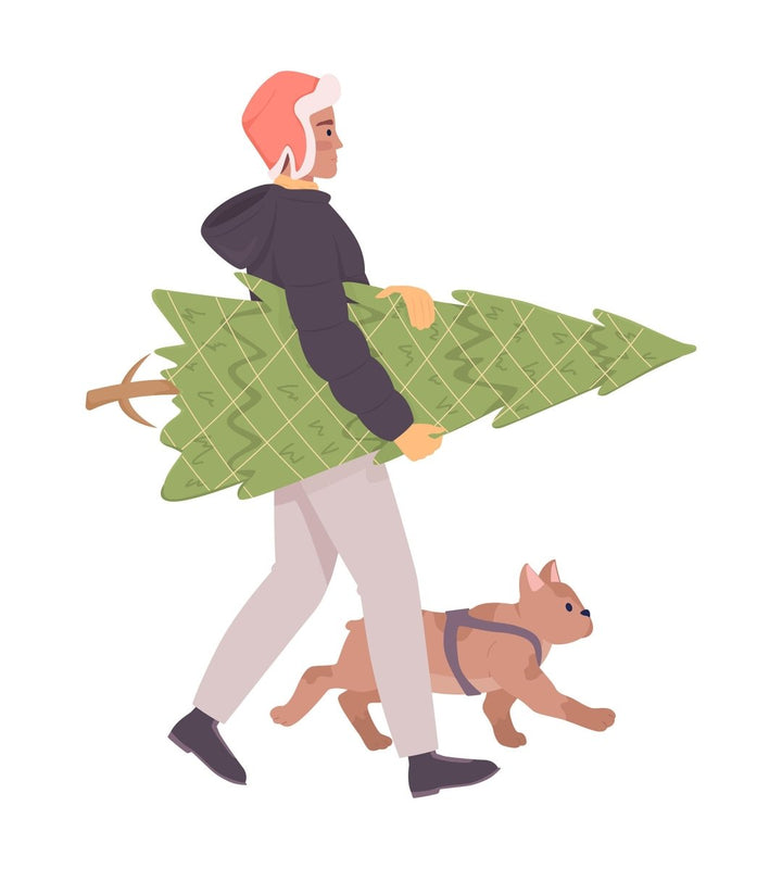 Man with real Christmas tree and french bulldog semi flat color vector characters