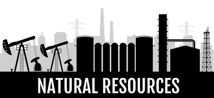 Monochrome illustrations bundle