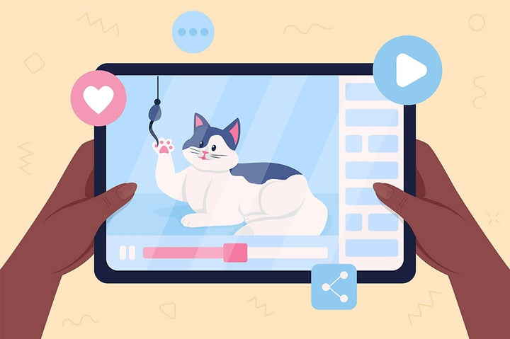 Online workshop 2D isolated illustrations