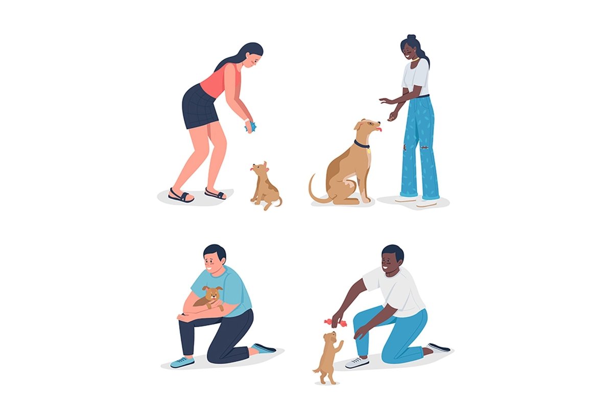 Owners playinh with pets semi flat color vector character set