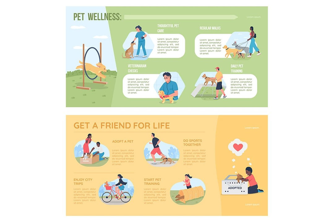 Pet adoption flat color vector infographic template set