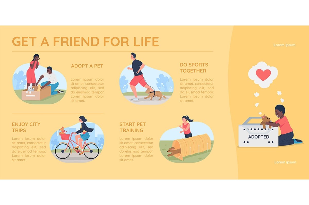 Pet adoption flat color vector infographic template set