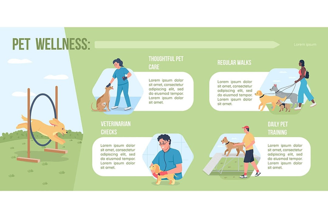 Pet adoption flat color vector infographic template set