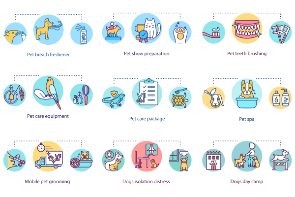 Pet Care Equipment Concept Icons Bundle