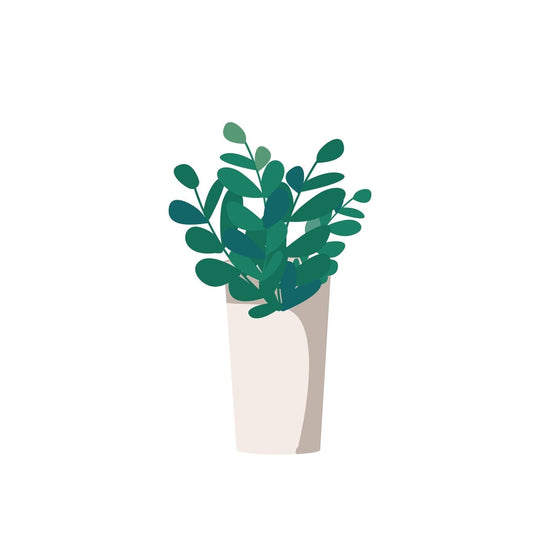 Plant illustrations bundle