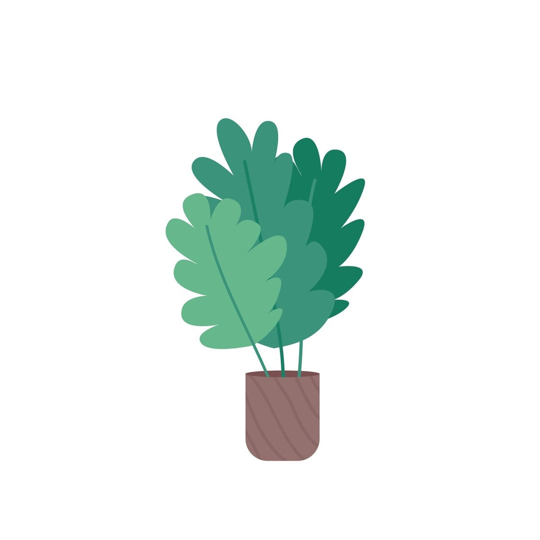 Plant illustrations bundle