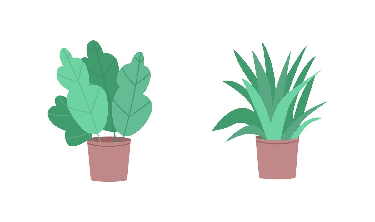 Plant illustrations bundle