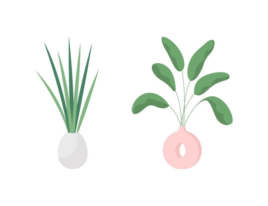 Plant illustrations bundle