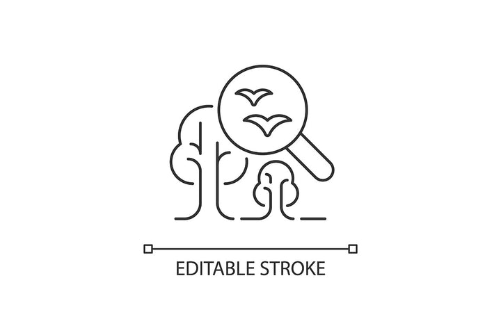 School subjects linear icons set for dark and light mode. Editable Stroke