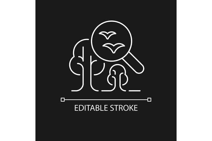 School subjects linear icons set for dark and light mode. Editable Stroke