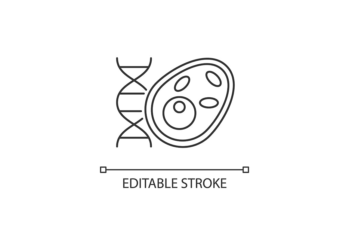 School subjects linear icons set for dark and light mode. Editable Stroke
