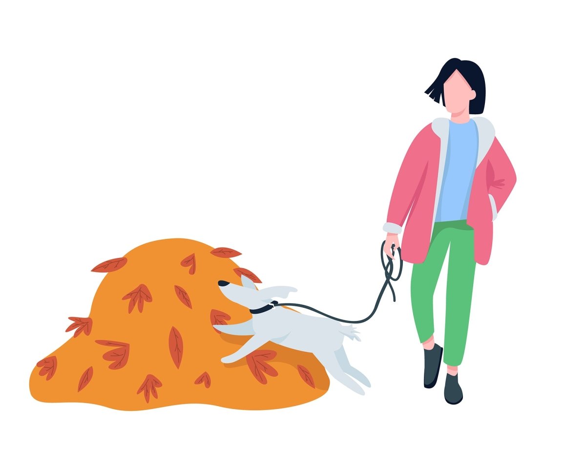 Seasonal color vector characters bundle