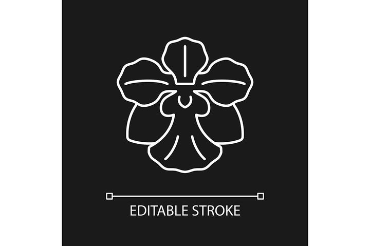 Singapore national symbols linear icons set for dark and light mode