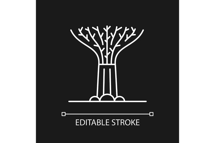 Singapore national symbols linear icons set for dark and light mode