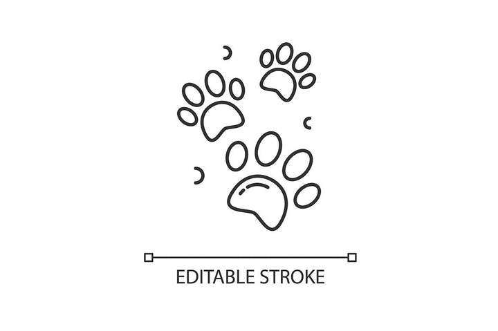 Social media story pixel perfect linear icons set