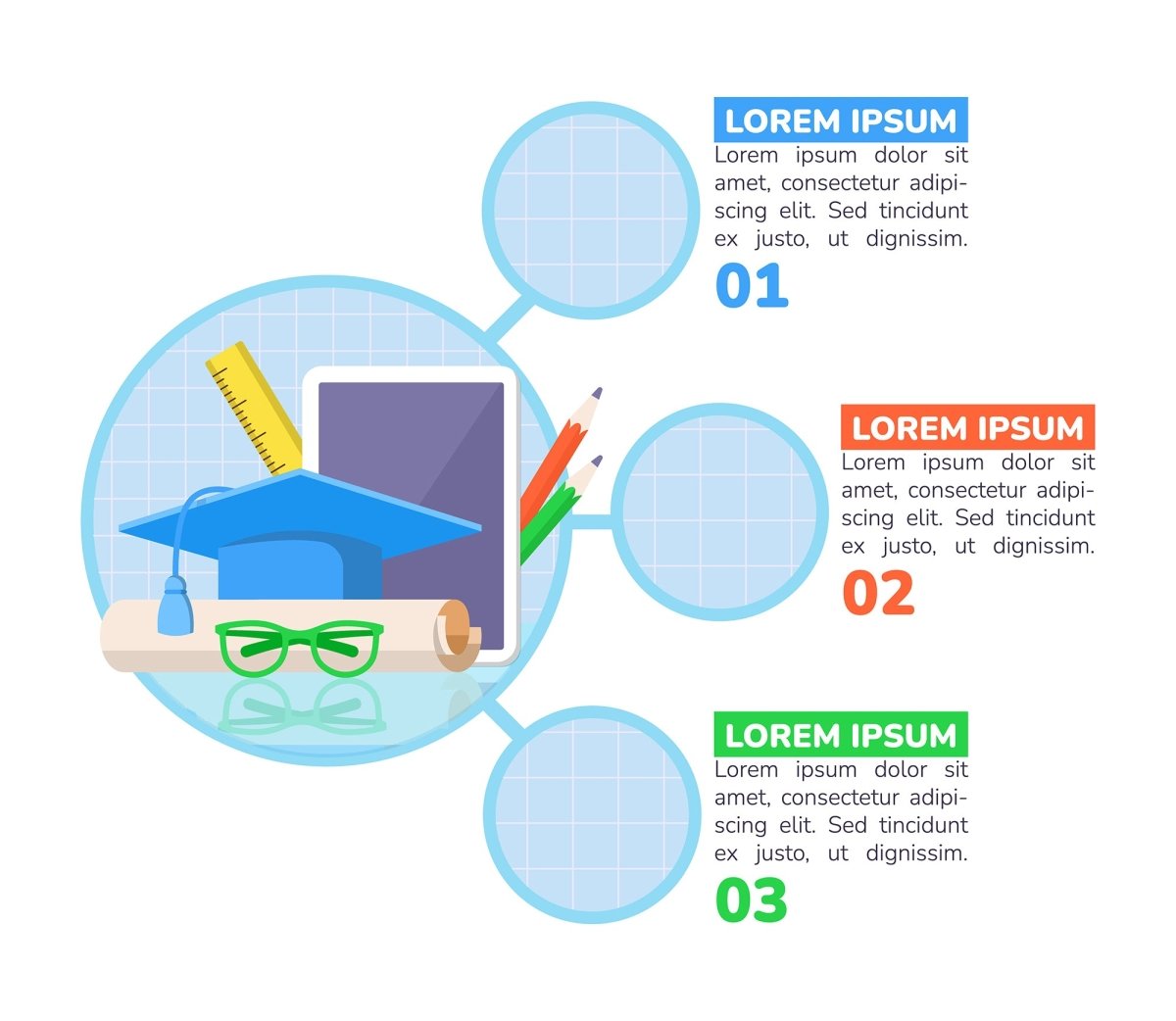 Studying for diploma infographic chart design template bundle