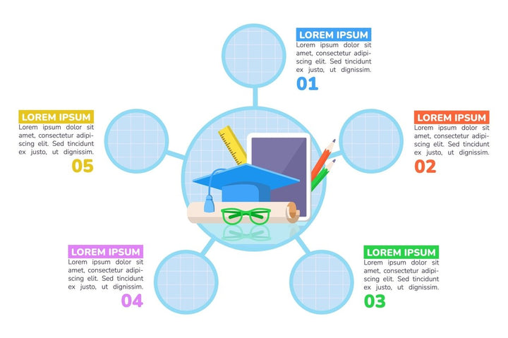 Studying for diploma infographic chart design template bundle