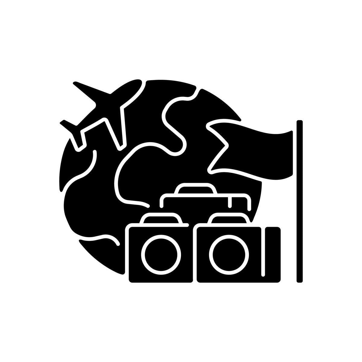 Types of travel black glyph icons set on white space