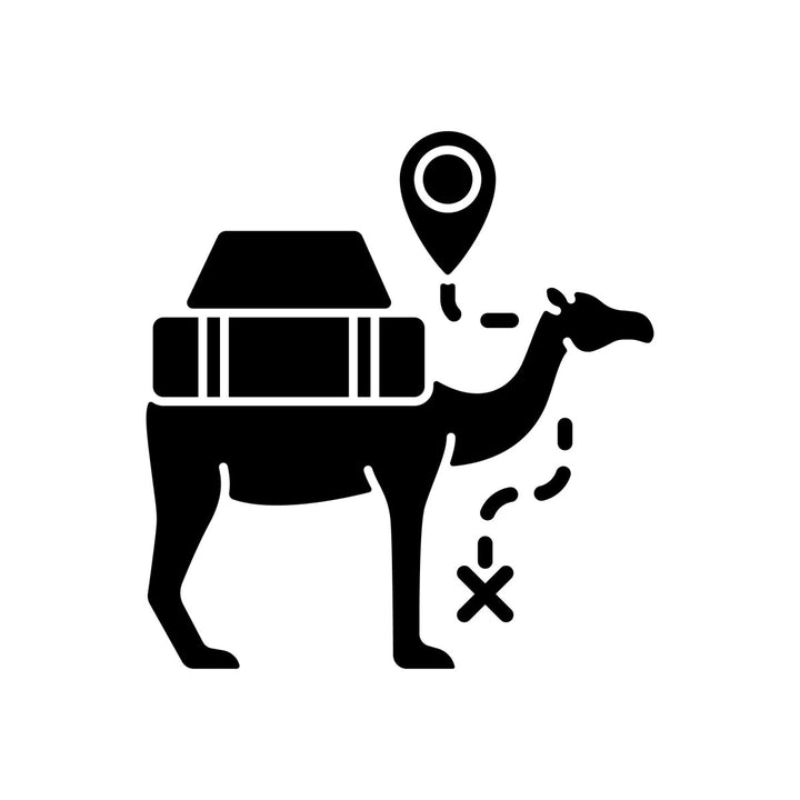 Types of travel black glyph icons set on white space