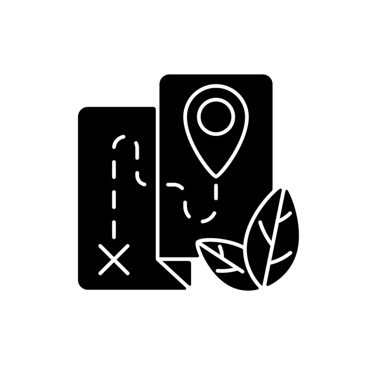 Types of travel black glyph icons set on white space