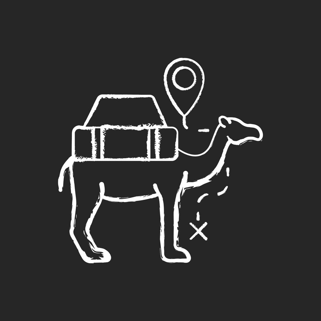 Types of travel chalk white icons set on dark background