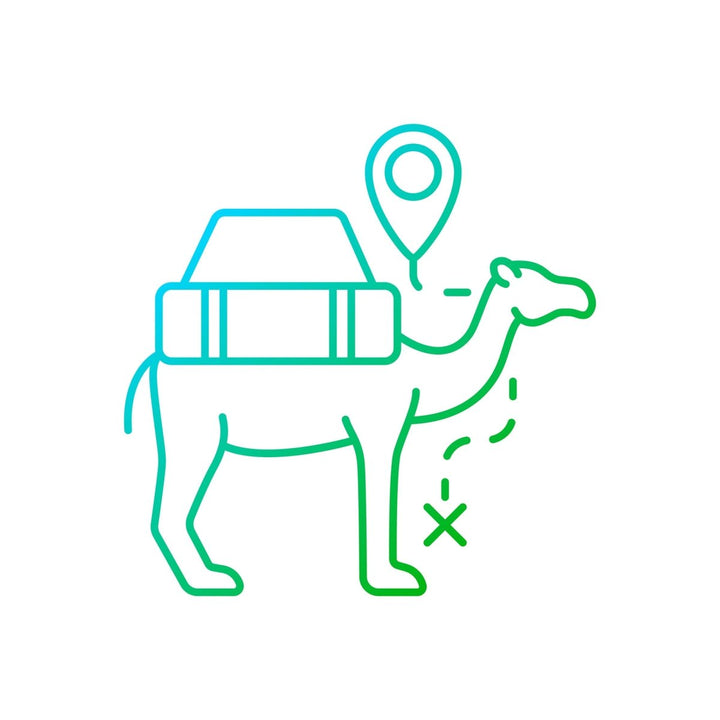 Types of travel gradient linear vector icons set