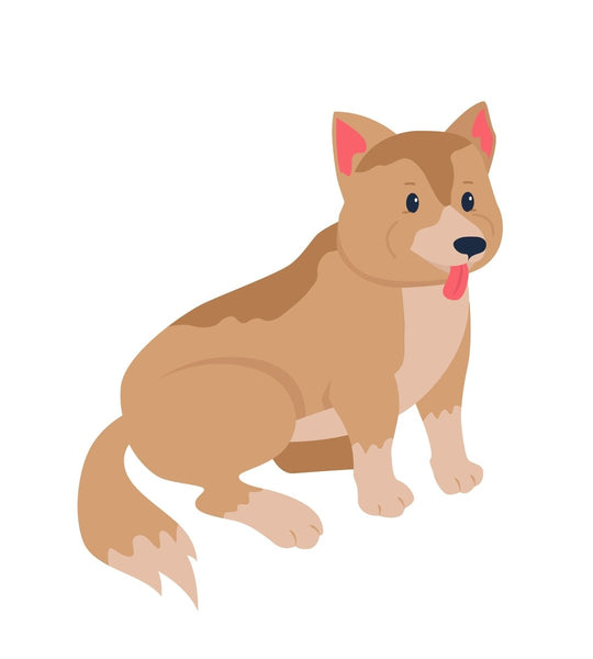 Various dog breeds flat color vector detailed character set