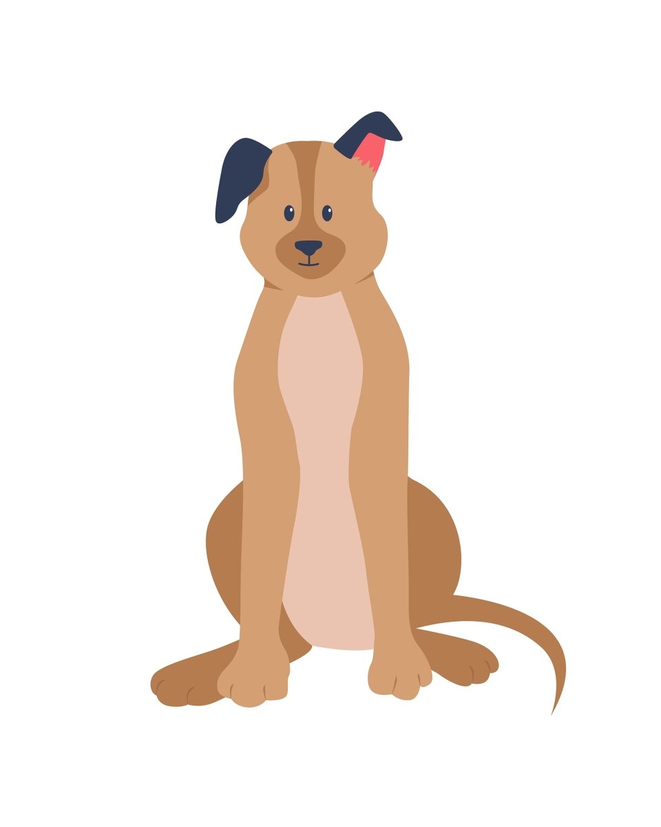 Various dog breeds flat color vector detailed character set