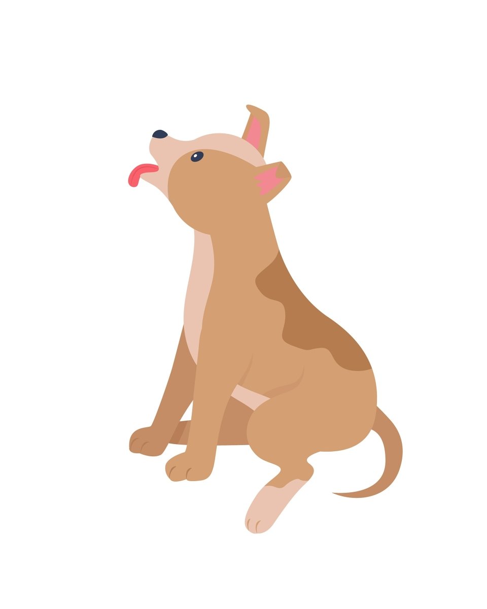 Various dog breeds flat color vector detailed character set
