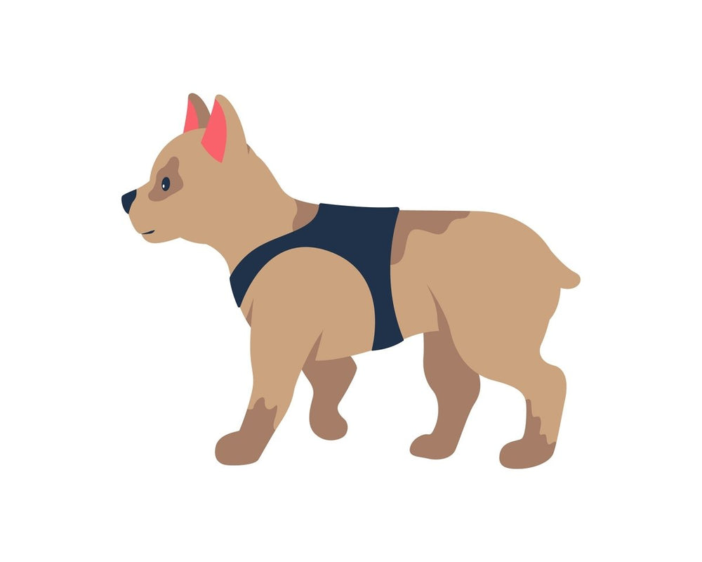 Various dog breeds flat color vector detailed character set