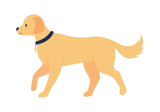 Various dog breeds flat color vector detailed character set