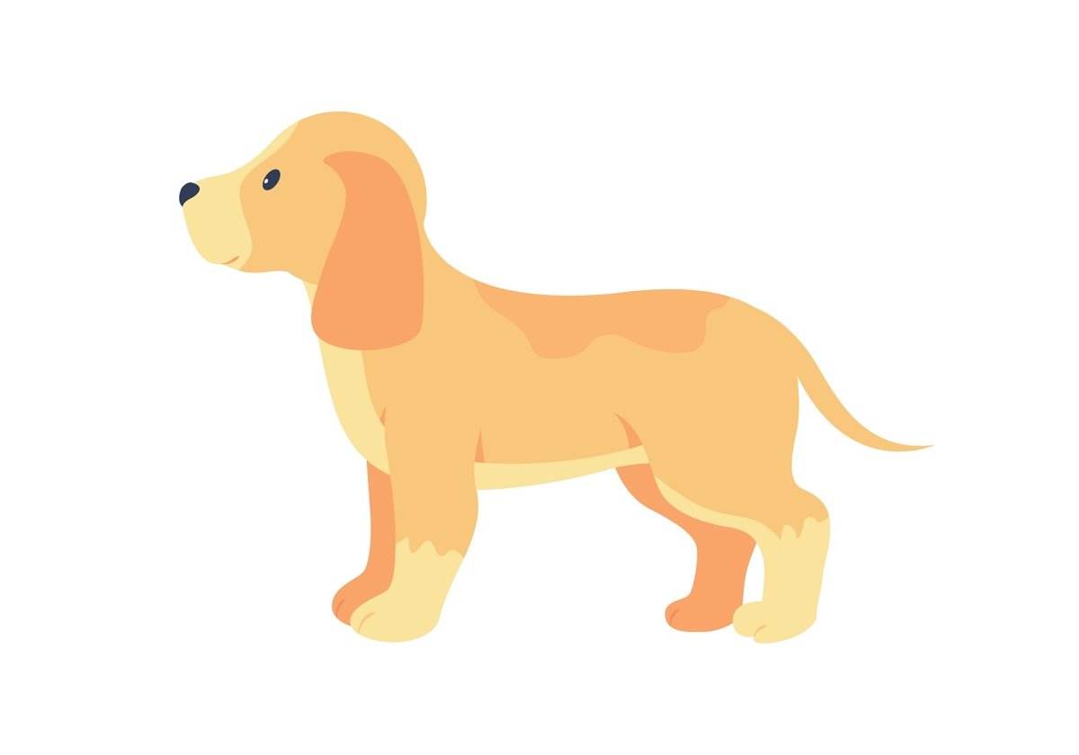 Various dog breeds flat color vector detailed character set