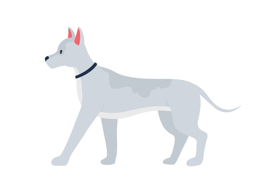 Various dog breeds flat color vector detailed character set