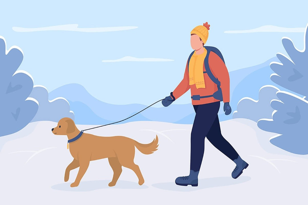 Winter hiking vector isolated illustration set