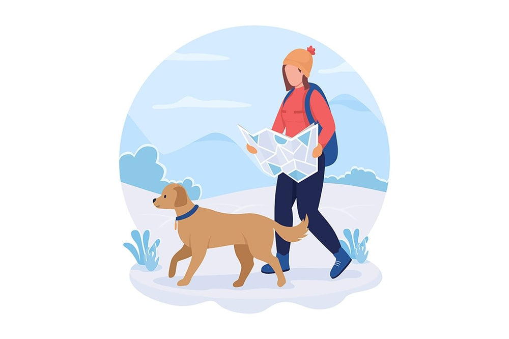 Winter hiking vector isolated illustration set