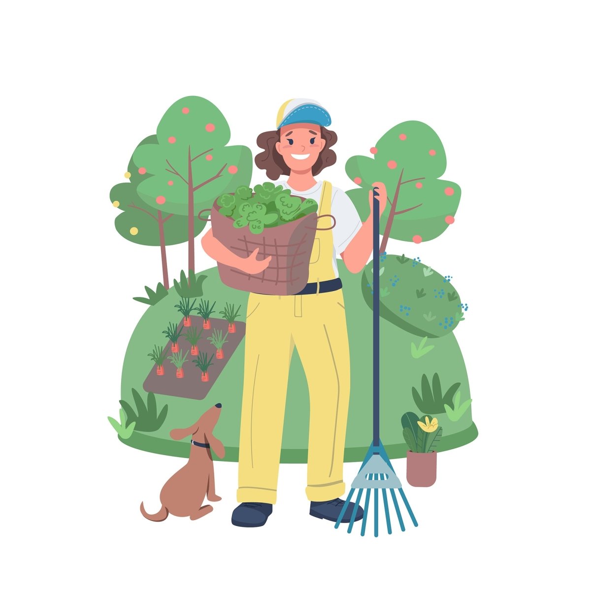 Women professions bundle